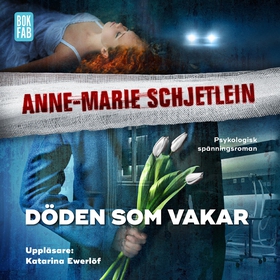 Döden som vakar (ljudbok) av Anne-Marie Schjetl