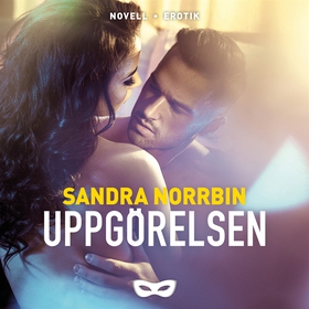 Uppgörelsen (ljudbok) av Sandra Norrbin
