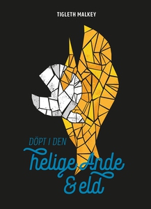 Döpt i den helige ande & eld (ljudbok) av Tigle