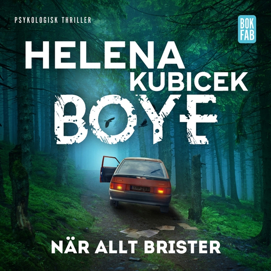 När allt brister (ljudbok) av Helena Kubicek Boye
