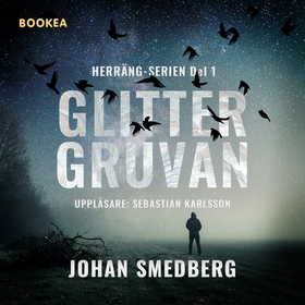 Glittergruvan (ljudbok) av Johan Smedberg