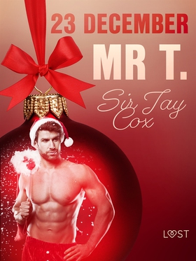 23 december: Mr T. - en erotisk julkalender (e-