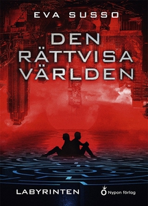 Den rättvisa världen (ljudbok) av Eva Susso