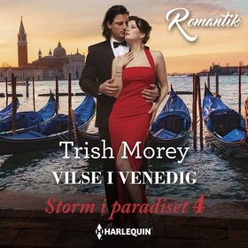 Vilse i Venedig (ljudbok) av Trish Money