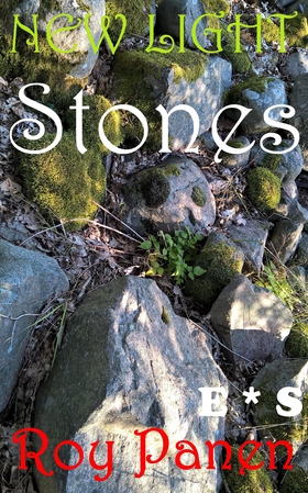 NEW LIGHT Stones (English / Swedish) (e-bok) av