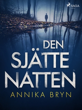 Den sjätte natten (e-bok) av Annika Bryn, Annik