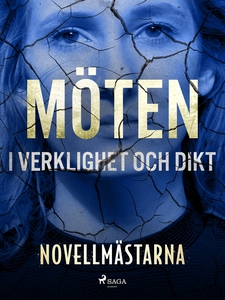 Möten i verklighet och dikt (e-bok) av Novellmä
