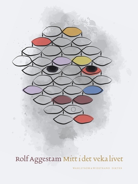 Mitt i det veka livet (e-bok) av Rolf Aggestam