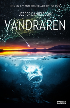 Vandraren (e-bok) av Jesper Danielsson