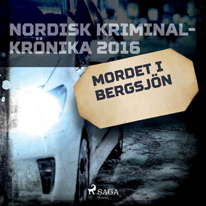Mordet i Bergsjön (ljudbok) av Diverse