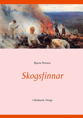 Skogsfinnar: i Hedmark, Norge (e-bok) av Bjarne