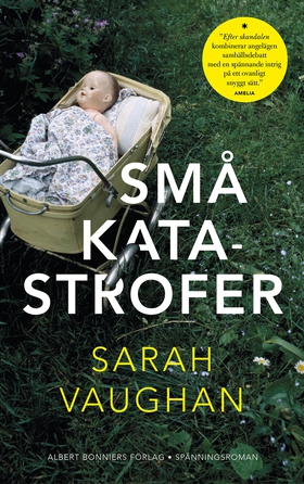 Små katastrofer (e-bok) av Sarah Vaughan