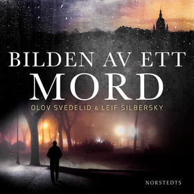 Bilden av ett mord (ljudbok) av Olov Svedelid, 