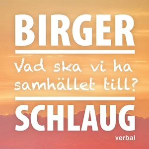 Vad ska vi ha samhället till? (ljudbok) av Birg