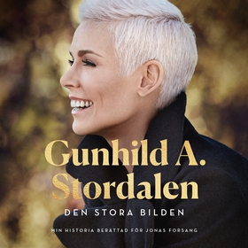 Den stora bilden (ljudbok) av Gunhild Stordalen