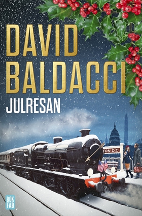 Julresan (e-bok) av David Baldacci