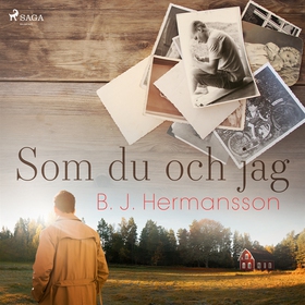 Som du och jag (ljudbok) av B. J. Hermansson