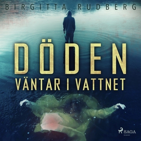 Döden väntar i vattnet (ljudbok) av Birgitta Ru