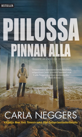 Piilossa pinnan alla (e-bok) av Carla Neggers