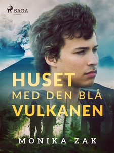 Huset med den blå vulkanen (e-bok) av Monica Za