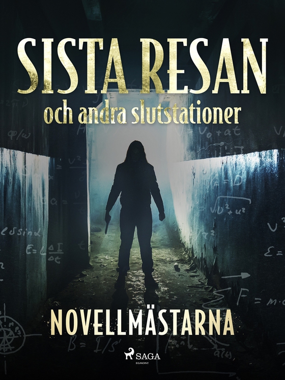 Sista resan och andra slutstationer (e-bok) av Novellmästarna