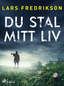 Du stal mitt liv (e-bok) av Lars Fredrikson