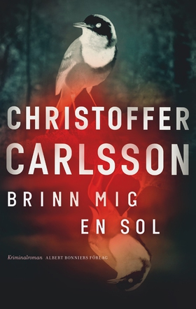 Brinn mig en sol (e-bok) av Christoffer Carlsso