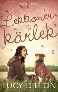 Lektioner i kärlek (e-bok) av Lucy Dillon