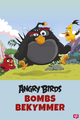 Angry Birds - Bombs bekymmer (e-bok) av Ferly