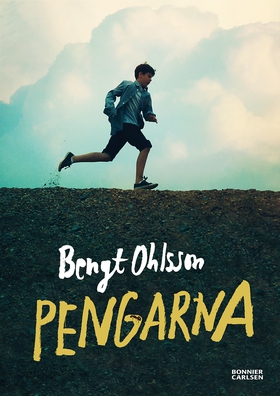 Pengarna (e-bok) av Bengt Ohlsson