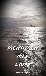 Meningen med livet (e-bok) av Maria Hallgren