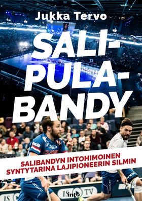 Salipulabandy (e-bok) av Jukka Tervo