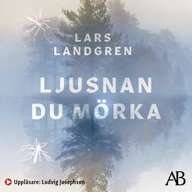 Ljusnan du mörka (ljudbok) av Lars Landgren