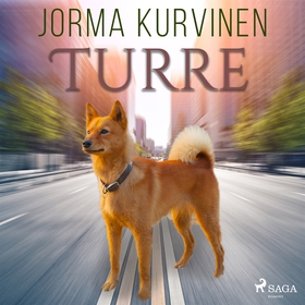 Turre (ljudbok) av Jorma Kurvinen
