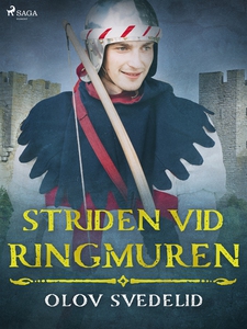 Striden vid ringmuren (e-bok) av Olov Svedelid