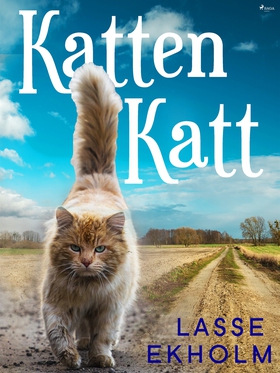 Katten Katt (e-bok) av Lasse Ekholm