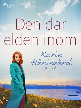 Den där elden inom (e-bok) av Karin Härjegård