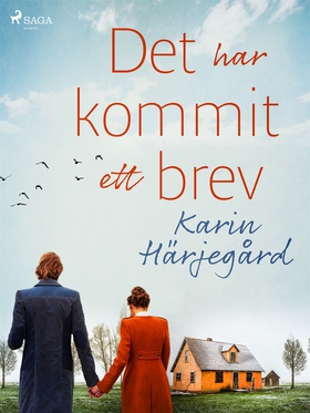Det har kommit ett brev (e-bok) av Karin Härjeg