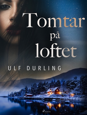 Tomtar på loftet (e-bok) av Ulf Durling