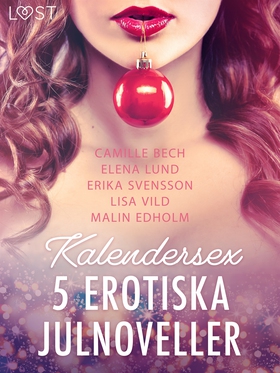 Kalendersex - 5 erotiska julnoveller (e-bok) av