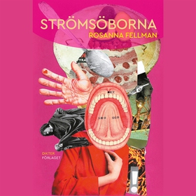 Strömsöborna (ljudbok) av Rosanna Fellman