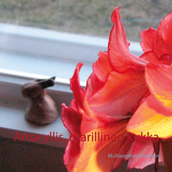 Amaryllis, ritarillinen kukka: Multasormen mietteet