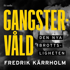 Gangstervåld : Den nya brottsligheten (ljudbok)