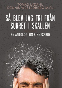 Så blev jag fri från surret i skallen: En antol