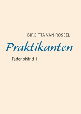 Praktikanten: Fader okänd 1 (e-bok) av Birgitta