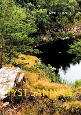 TYST SANNING (e-bok) av Arne Johansson