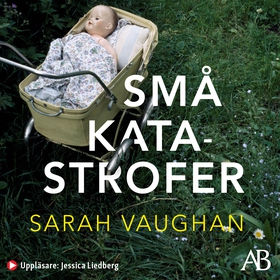 Små katastrofer (ljudbok) av Sarah Vaughan