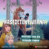 Mysteriet med den skrämda ponnyn