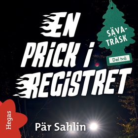 En prick i registret (ljudbok) av Pär Sahlin