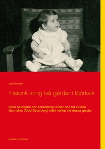 Historik kring två gårdar i Björkvik: Stora Mun